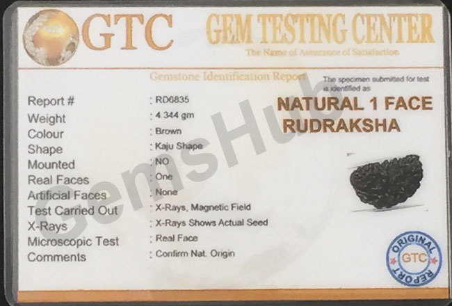 1 Face/Mukhi Certified Rudraksha Premium Quality